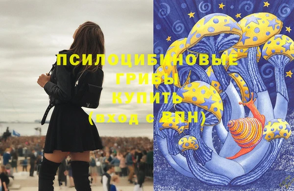 спайс Белокуриха