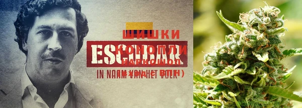 спайс Белокуриха