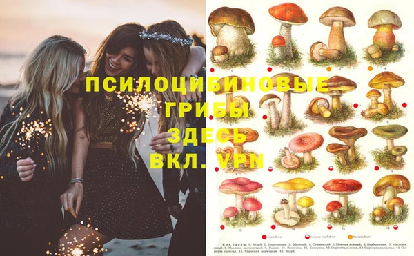 спайс Белокуриха