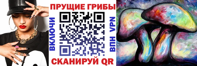Псилоцибиновые грибы GOLDEN TEACHER  наркотики  Светогорск 